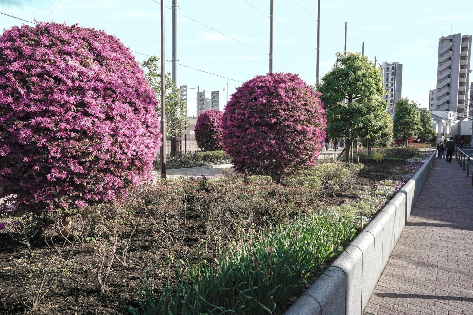 Appartamento 1 Line To Asakusa! 5 Mins Walk From Togoshi-ginza Sta Tokyo