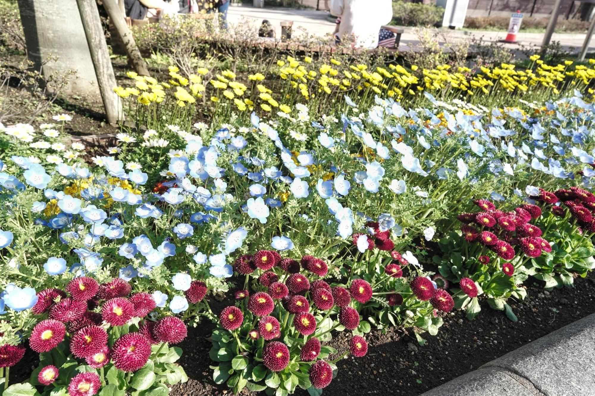 Appartamento 1 Line To Asakusa! 5 Mins Walk From Togoshi-ginza Sta Tokyo